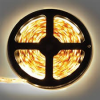 Ecola S2LW05ESB Светодиодная лента LED strip STD 4,8W/m 12V IP20 8mm 60Led/m