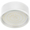 Ecola FW70NFECD Светильник накладной легкий 42x120