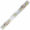 Ecola P2LV05ESD Светодиодная лента LED strip PRO 4,8W/m 12V IP20