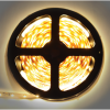 Ecola P2LW05ESB Светодиодная лента LED strip PRO 4,8W/m 12V IP20