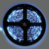 Ecola P2LB05ESB Светодиодная лента LED strip PRO 4,8W/m 12V IP20 8mm 60Led/m