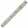 Ecola P2LV14ESD Светодиодная лента LED strip PRO 14.4W/m 12V IP20