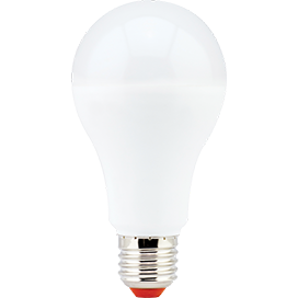 Фотография товара 'Ecola D7RW17ELC Светодиодная лампа LED Premium 17,0W A65 220-240V E27 2700K'